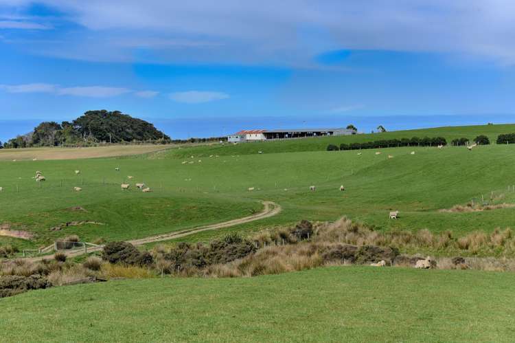 283 Otara Haldane Road Wyndham Surrounds_11