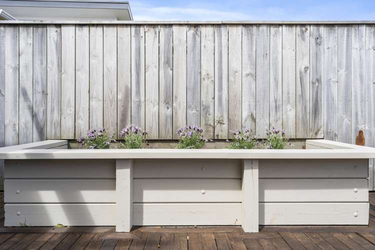 20 Adelaide Street Petone_15