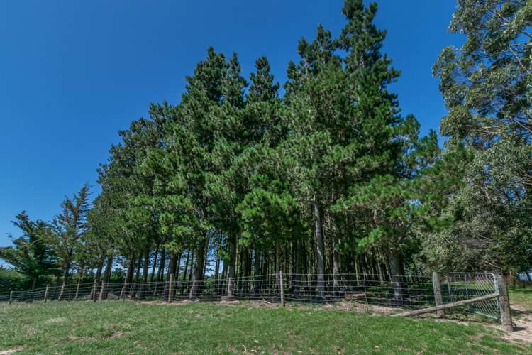 267 Mound Road Broomfield_17