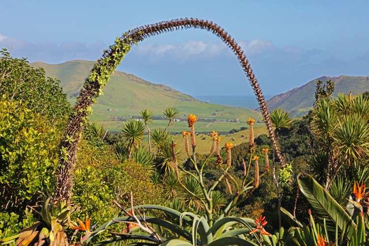 2409 Awhitu Road Awhitu_11