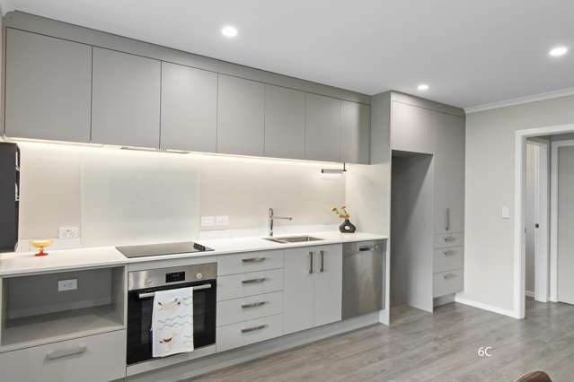 6B and 6C Te Whiti Grove Waterloo_2