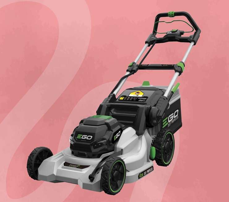 Keen gardeners or not, many Kiwis will be looking to keep their lawns tidy and in check over summer. Artwork / Beth Walsh