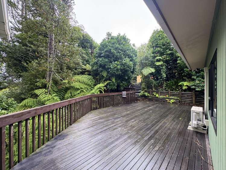 109 Wirihana Road Titirangi_5