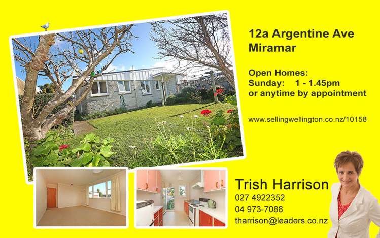 12a Argentine Avenue Miramar_13