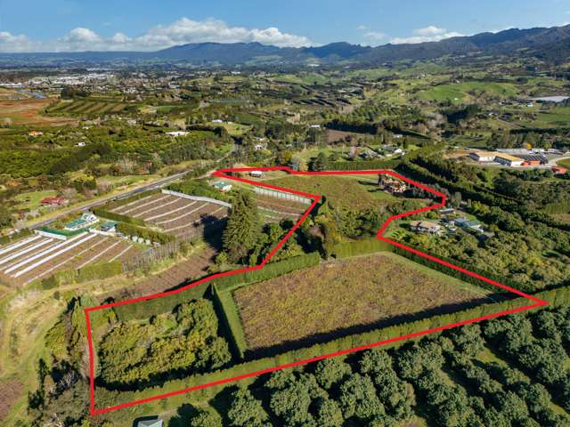 6 Woodland Road Katikati_3