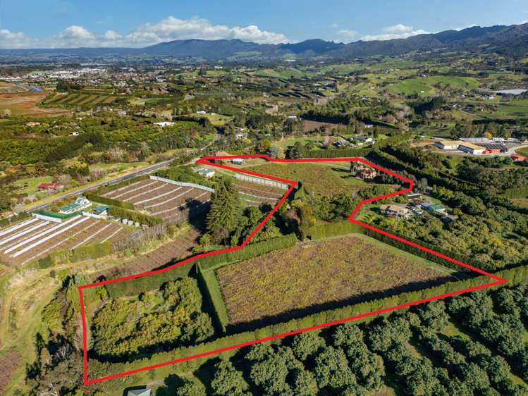 6 Woodland Road Katikati_3