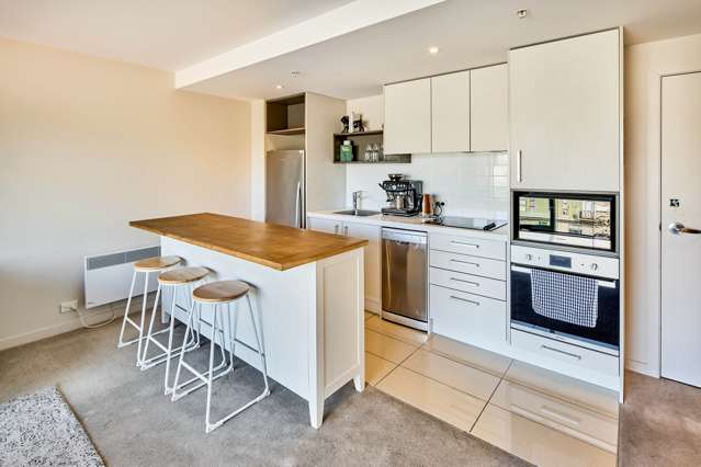4E/21 Rugby Street Mt Cook_2