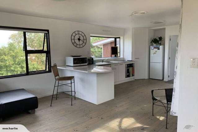 119 Vipond Road Stanmore Bay_3