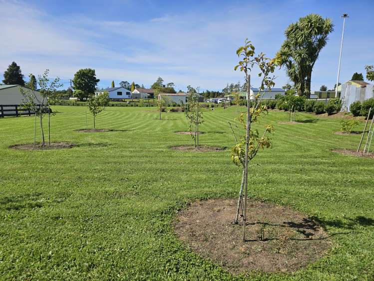 36 Umuroa Street Mamaku_25