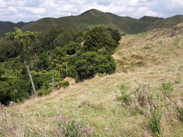 446 Stanley Road Te Popo_13