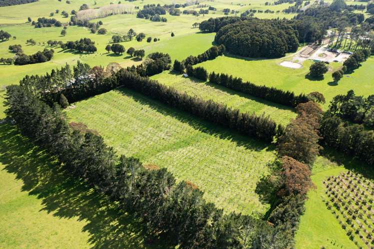 1374 Pipiwai Road Ruatangata_2