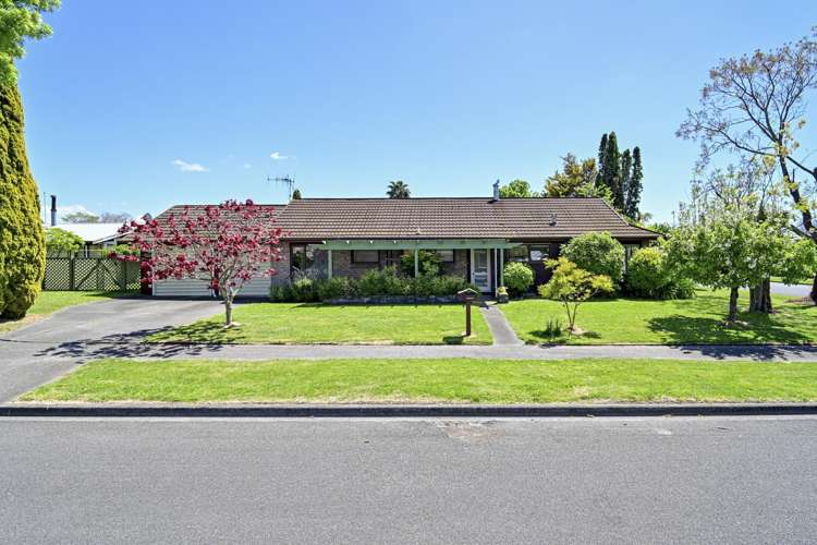 6 Grant Street Havelock North_0