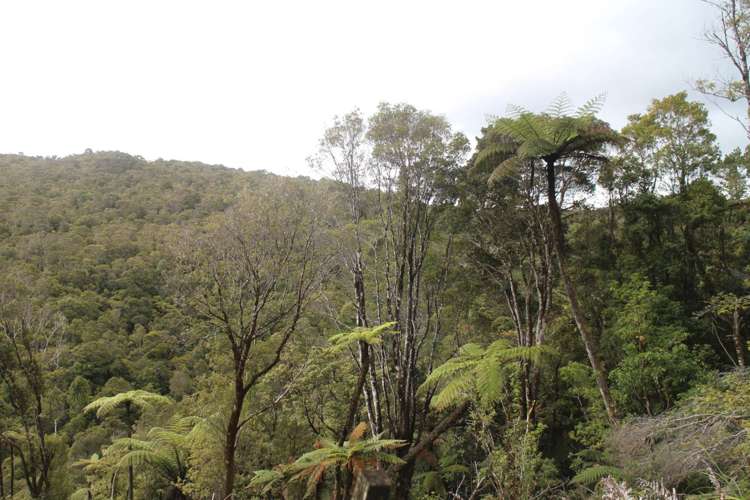 Opouteke Road Dargaville Surrounds_6
