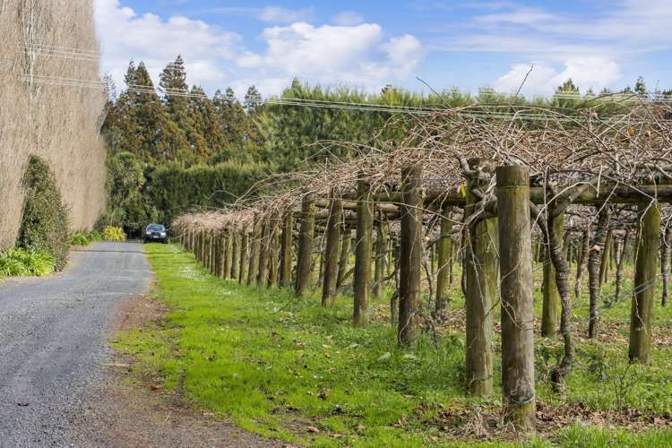 25 Kingsley Road Waihi_22