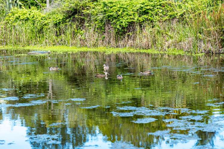 4 Shiraz Place Henderson_30