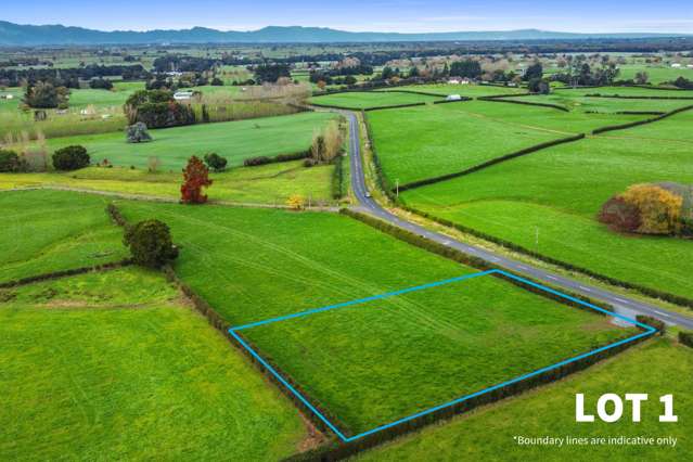 356 Mangateparu Loop Road Morrinsville_1