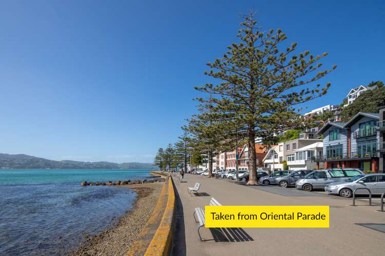 1 Grass Street Oriental Bay_22