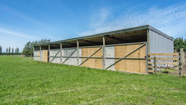 300 Courtenay Road Charing Cross_2