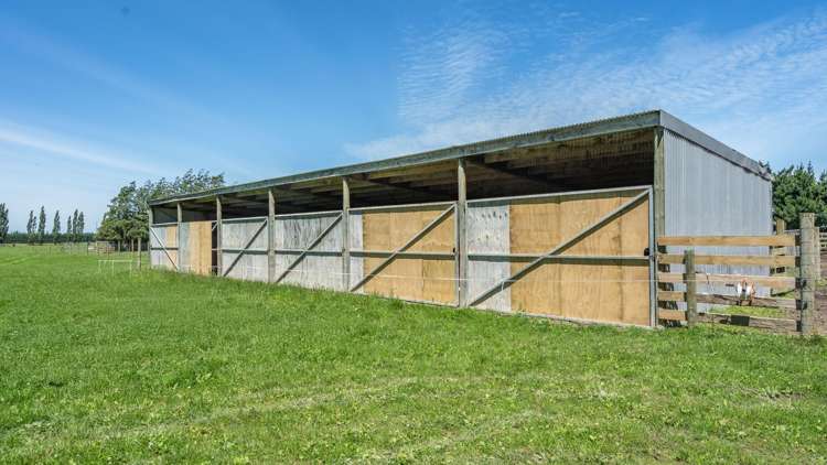 300 Courtenay Road Charing Cross_2