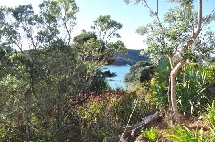 7 Lavinia Place Kawau Island_9