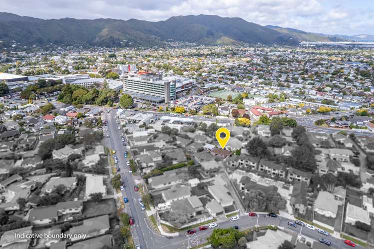 38b Boulcott Street Boulcott_31