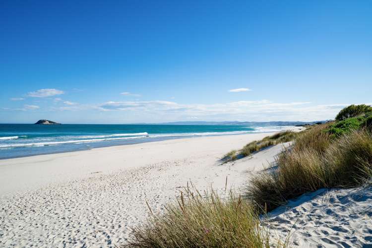 592 Brighton Road Westwood_28