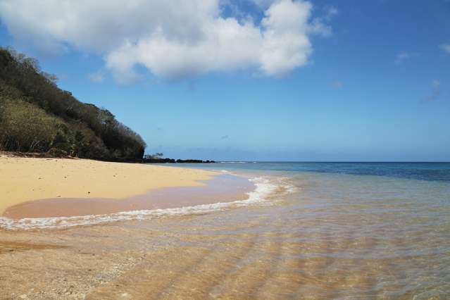 Matana Plantation Koro Island_1