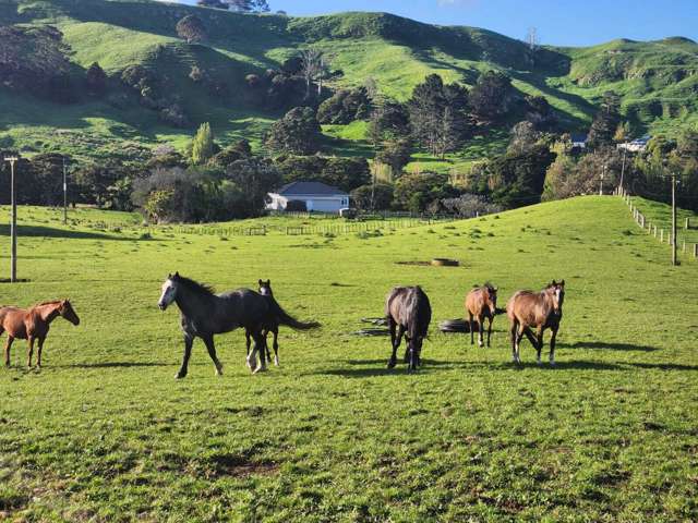 899 Te Akau Road Te Akau_4