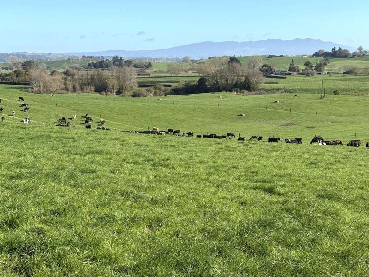 233B Kio Kio Station Road Otorohanga_8