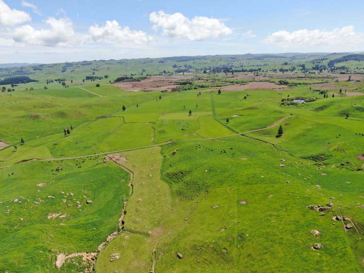 Kahuwera Road Piopio_23