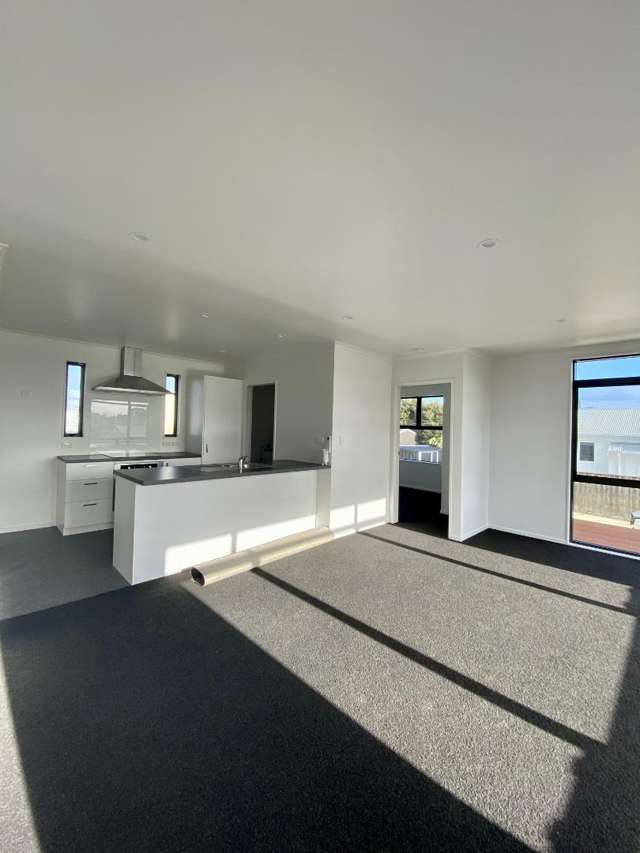 65A Alexandra Street Marton_2