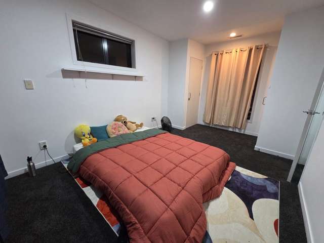 34 Saintly Lane Avondale_3