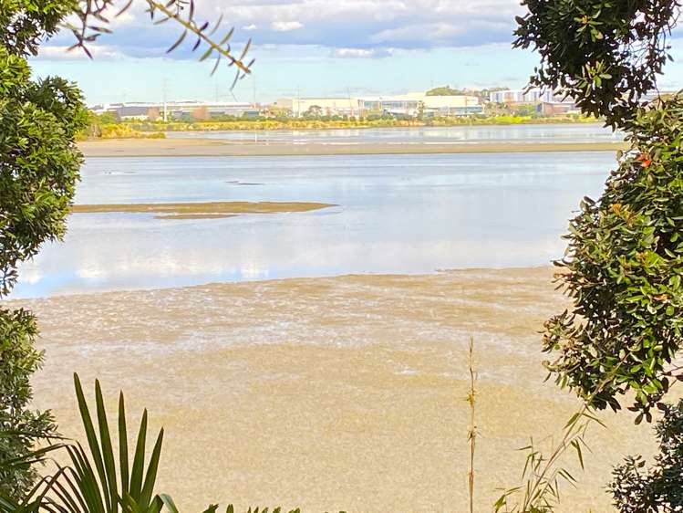 35A Swan Crescent Pakuranga_7