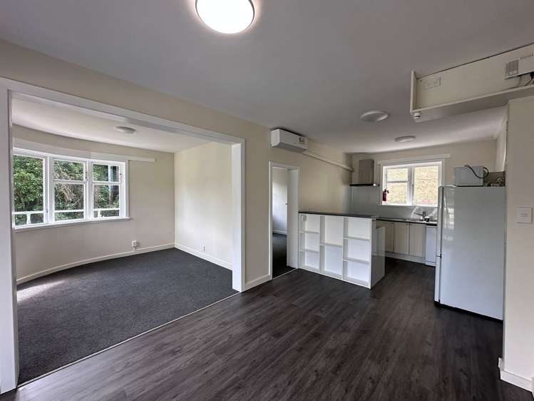 3/20 St Michaels Crescent Kelburn_8