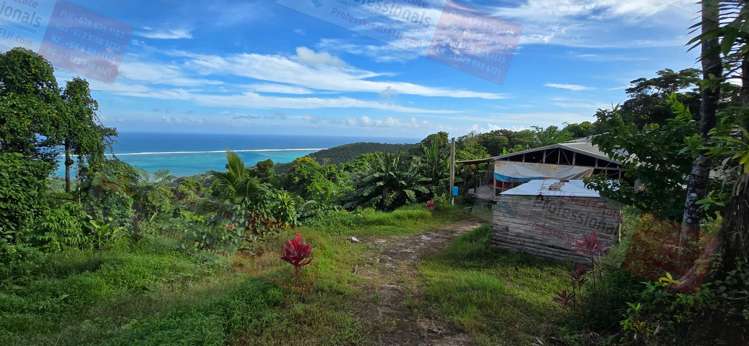 Address withheld Waidroka Bay_21