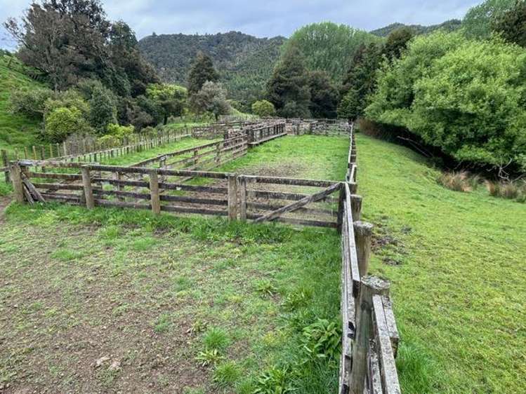 166 Saddler Road Taumarunui_5