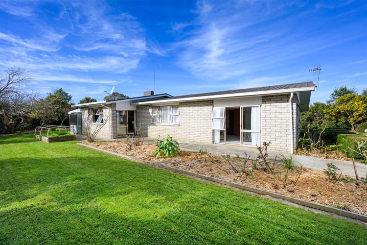 6 Flower Street Bulls_38