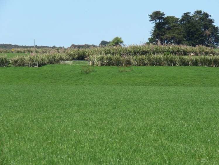 136 Kapuka North Road Wyndham Surrounds_12