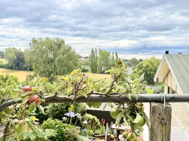 42 Jessop Street Oamaru_2