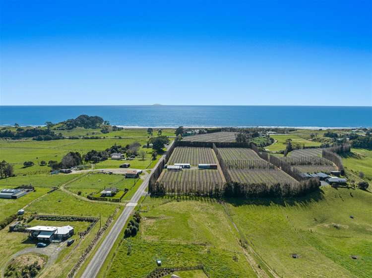 61 Tirohanga Road Opotiki_17