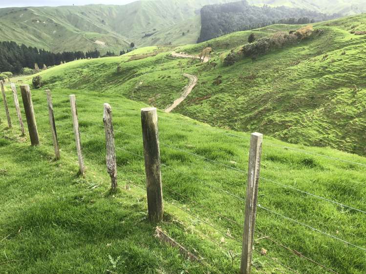 337 Saunders Road Eketahuna_21