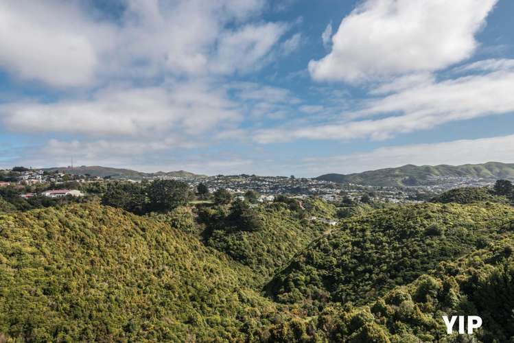 22 Peppertree Lane Woodridge_17