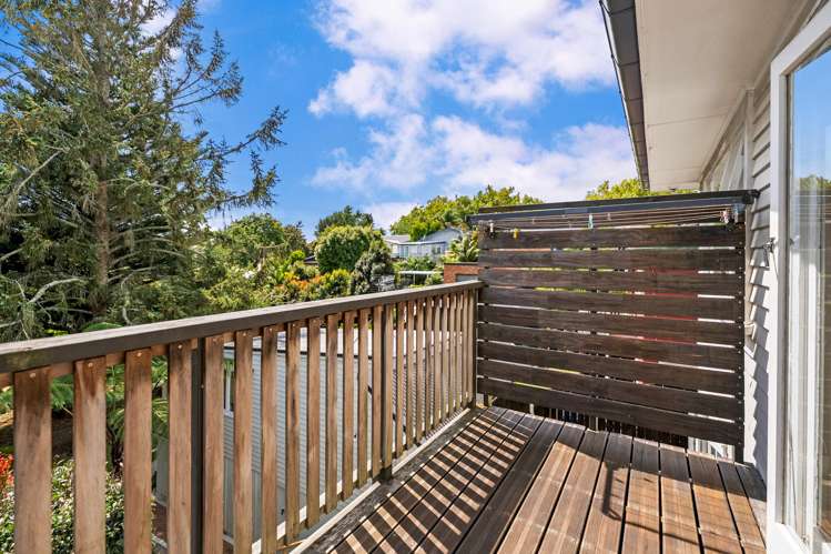 10 Allen Road Grey Lynn_6