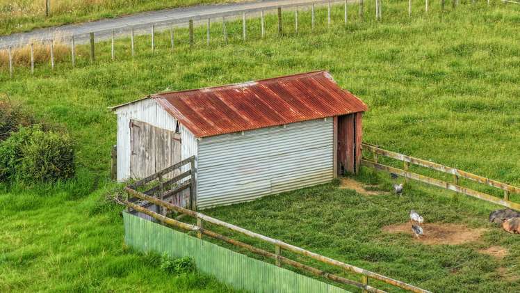 347 Taniwha Road Waerenga_17