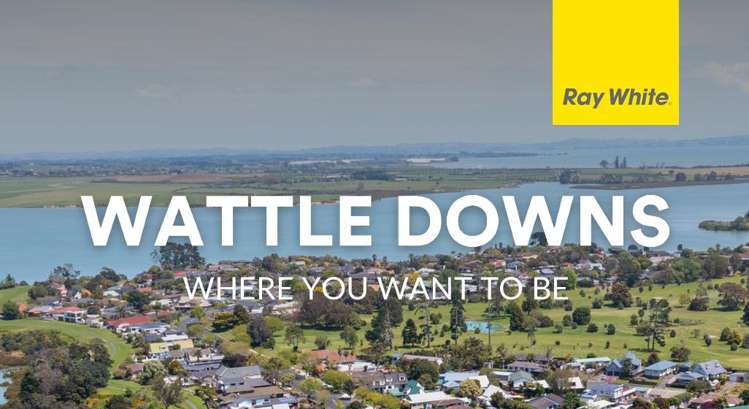 11 Linicro Place Wattle Downs_19