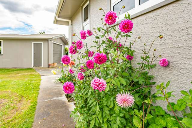 14a White Street Wanganui East_4