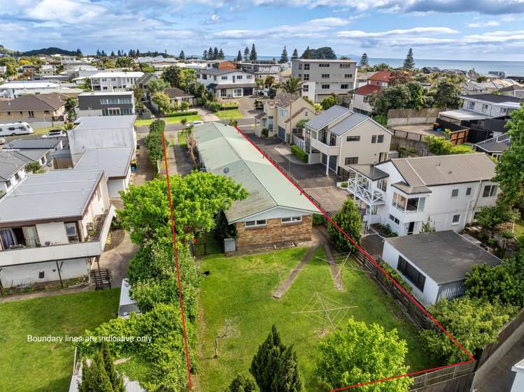 22 Terrace Avenue Mt Maunganui_18