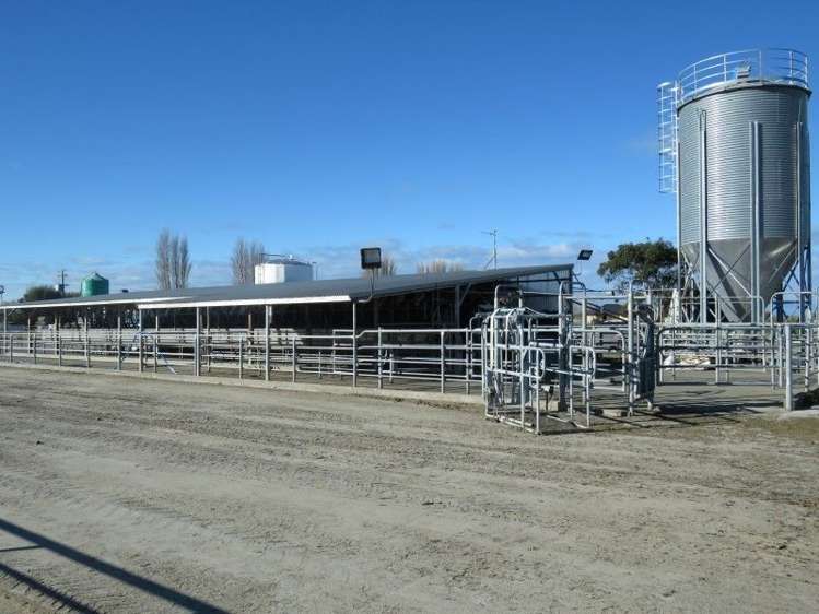 110 Donehue Road Clandeboye_1