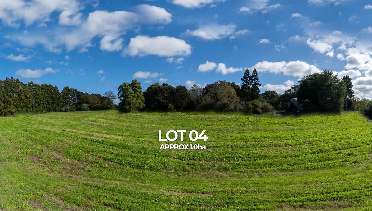 Lot 2 Access Road_3
