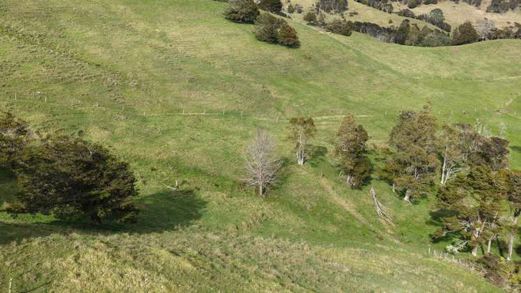 136 Whakahara Road Arapohue_22